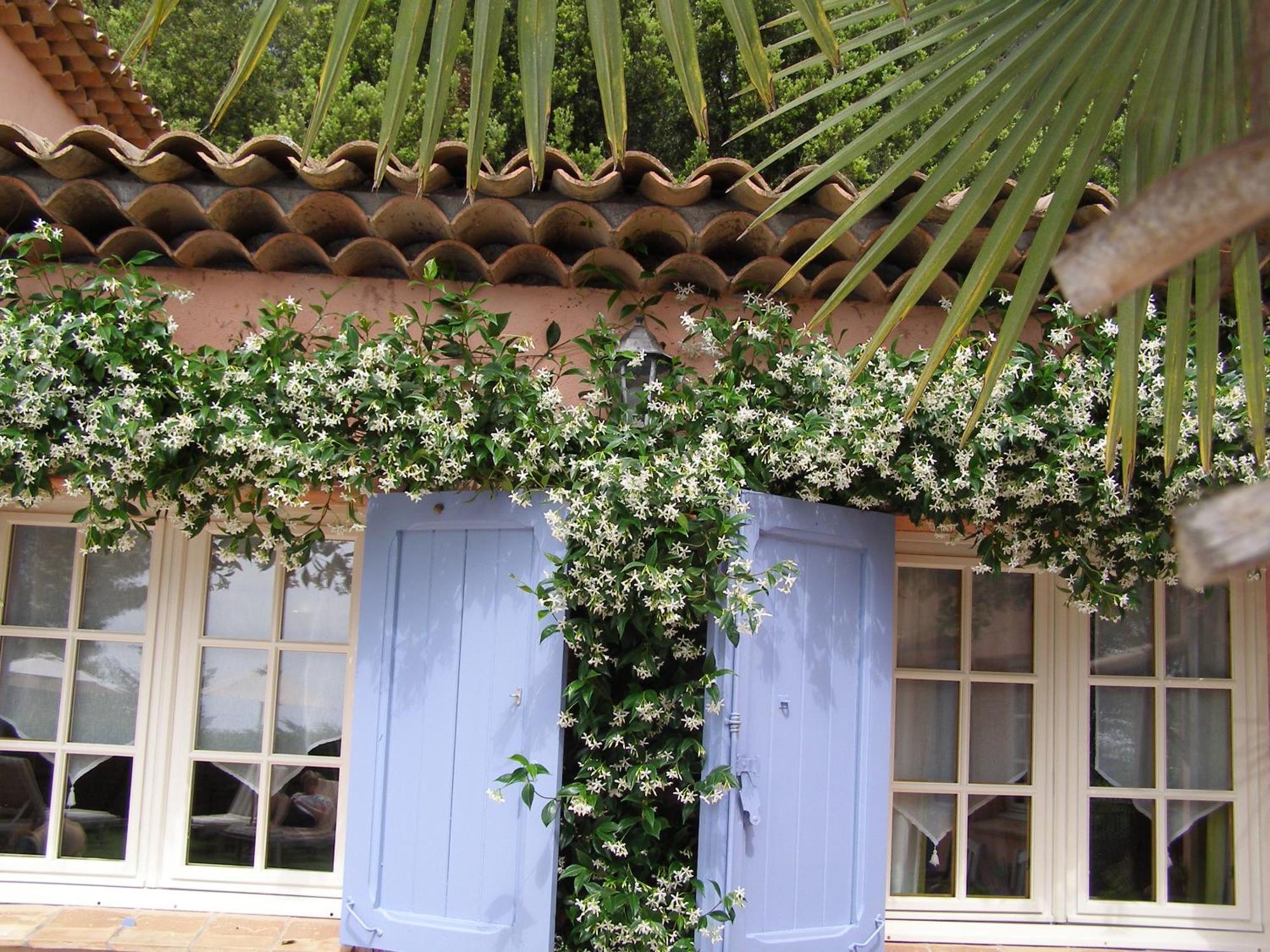 Le Mas Des Cigales Tourrettes-sur-Loup Exterior foto